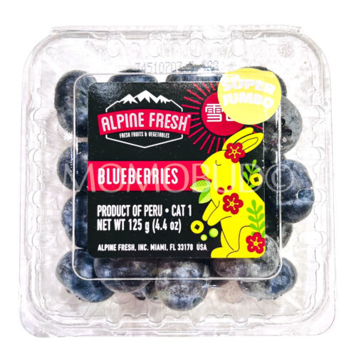 Peru Alphine Fresh Super Jumbo Blueberry (125g punnet)