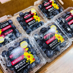 Peru Alphine Fresh Super Jumbo Blueberry (125g punnets)