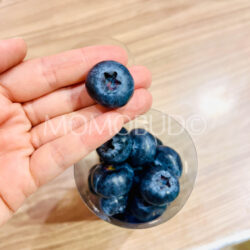 South African Core Super Jumbo Sekoyo Pop™ Blueberry South African Core Super Jumbo Sekoyo Pop™ Blueberry