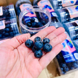 USA Berry Peachy Blueberries