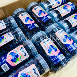 USA Berry Peachy Blueberry (200g tubs)