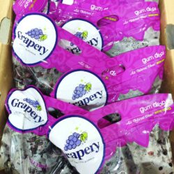 USA Grapery Gum Drops® Red Seedless Grapes Packets