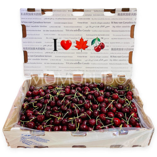 Canadian Sentennial Red Cherry box (5kg) Canadian Sentennial Red Cherry box (5kg)
