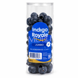 Indigo Royale® Jumbo Blueberry (200g tub)