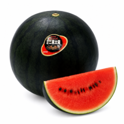 Japanese Aomori Kurotaiyo Watermelon