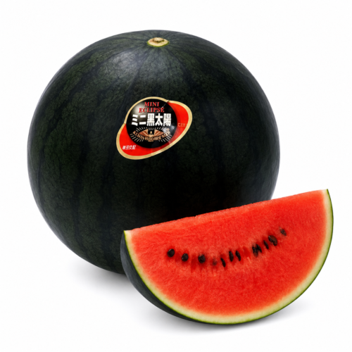 Japanese Aomori Kurotaiyo Watermelon Japanese Aomori Kurotaiyo Watermelon