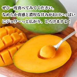 Japanese Okinawa Keitt Mango 1 Japanese Okinawa Keitt Mango 1