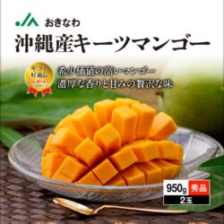Japanese Okinawa Keitt Mango slice Japanese Okinawa Keitt Mango slice