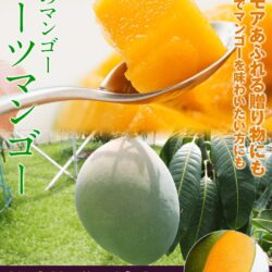 Japanese Okinawa Keitt Mangoes poster Japanese Okinawa Keitt Mangoes poster