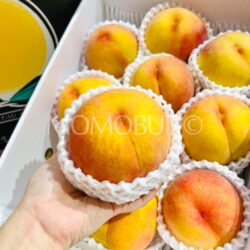 Japanese Otomi Kogane Yellow Peach
