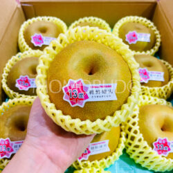 Japanese Premium Grade Kousui Pear (Medium, 13% Brix High Sweetness)