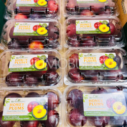 Kingsburg Honey Plums™ (454g punnets) Kingsburg Honey Plums™ (454g punnets)