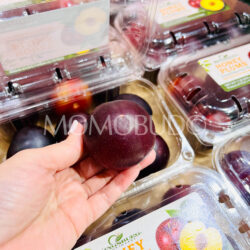 Kingsburg Honey Plum™ Kingsburg Honey Plum™