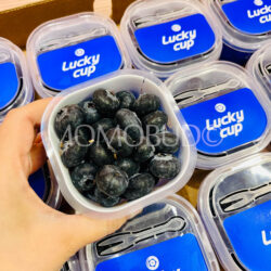 Zimbabwe Lucky Cup Jumbo Blueberries Zimbabwe Lucky Cup Jumbo Blueberries