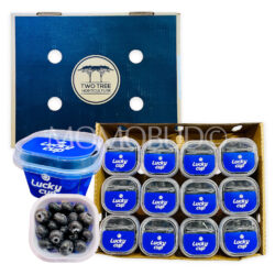 Zimbabwe Lucky Cup Jumbo Blueberry (12x100g)