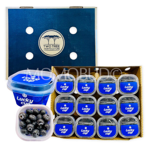 Zimbabwe Lucky Cup Jumbo Blueberry (12x100g) Zimbabwe Lucky Cup Jumbo Blueberry (12x100g)