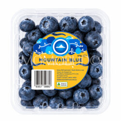 Australian Premium Mountain Blue Blueberry (125g punnet)