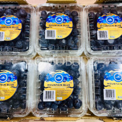 Australian Premium Mountain Blue Blueberry (125g punnets) Australian Premium Mountain Blue Blueberry (125g punnets)