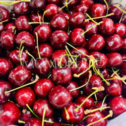 Canadian Super Harvest Staccato Red Cherries (9.5 row)