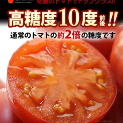 Hokkaido Kita no Kyoku Tomato Hokkaido Kita no Kyoku Tomato