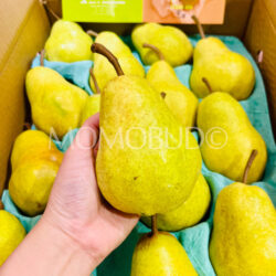 Japanese Hokkaido Bartlett Western Pear