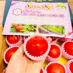 Japanese Premium Kita no Kyoku Tomato Japanese Premium Kita no Kyoku Tomato