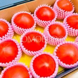 Japanese Premium Kita no Kyoku Tomatoes Japanese Premium Kita no Kyoku Tomatoes