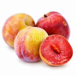 Spain IberPlum®9 Plum