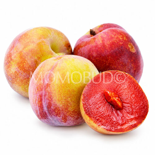Spain IberPlum®9 Plum Spain IberPlum®9 Plum