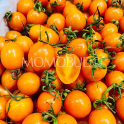 China Bingcheng Qianxi Cherry Tomatoes China Bingcheng Qianxi Cherry Tomatoes