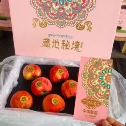 China Tibet Honey Apple Gift Box China Tibet Honey Apple Gift Box