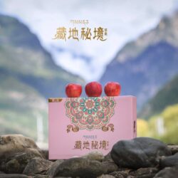 China Tibet Honey Apple Gift Box (2.8kg)