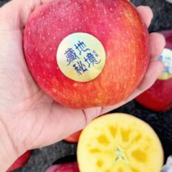 China Tibet Honey Apple cross section China Tibet Honey Apple cross section