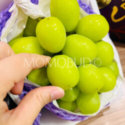 Japanese Koshu Hishiyama Shine Muscat Grapes(Kokorozukushi Grade)
