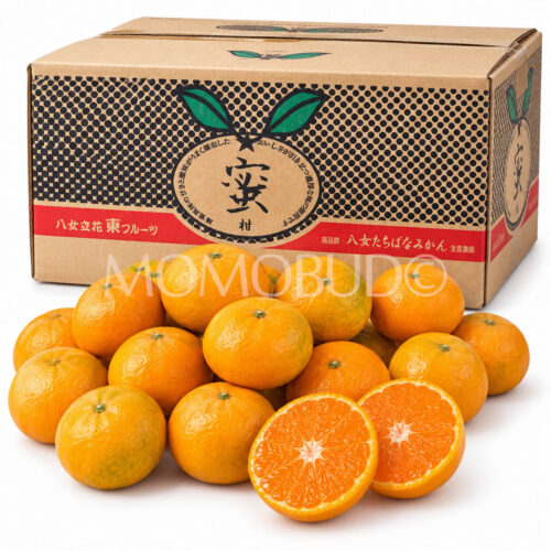 Japanese Fukuoka Yame Hana Tachibana Mikan Box (5kg) Japanese Fukuoka Yame Hana Tachibana Mikan Box (5kg)