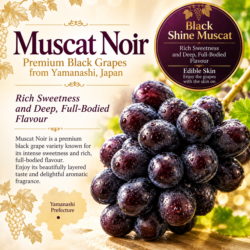 Japanese Muscat Noir Black Shine Grapes poster Japanese Muscat Noir Black Shine Grapes poster