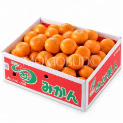 Japanese Sagabiji Mikan (Mandarin Orange) box (5kg)