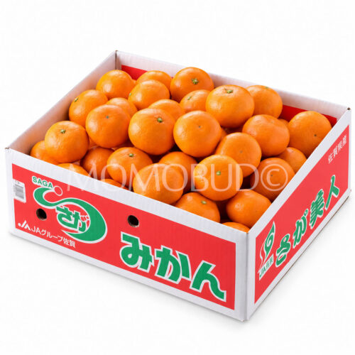 Japanese Sagabiji Mikan (Mandarin Orange) box (5kg) Japanese Sagabiji Mikan (Mandarin Orange) box (5kg)