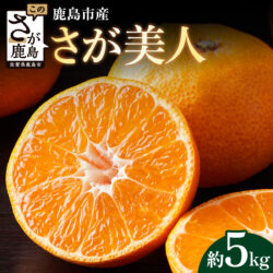 Japanese Sagabiji Mikan (Mandarin Orange) poster Japanese Sagabiji Mikan (Mandarin Orange) poster
