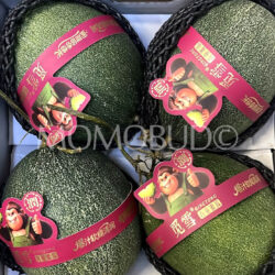 Mixue Qingtong Muskmelons (X-Jumbo) Mixue Qingtong Muskmelons (X-Jumbo)