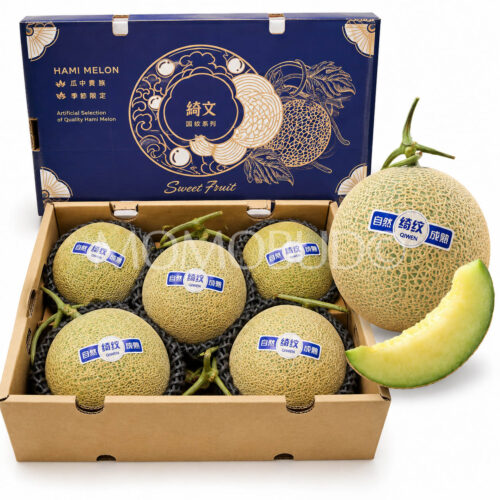 Premium Qiwen Hami Green Muskmelon Box Premium Qiwen Hami Green Muskmelon Box