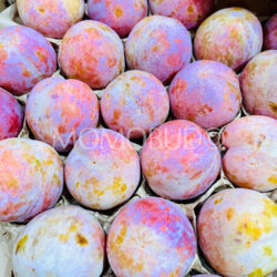 Spain IberPlum®9 Plums