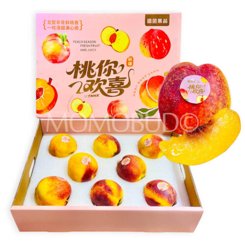 Xinjiang Selection Yellow Nectarine Gift Box (2kg)-2 Xinjiang Selection Yellow Nectarine Gift Box (2kg)-2