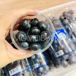 Zimbabwe Two Tree Horticulture Jumbo Blueberries Zimbabwe Two Tree Horticulture Jumbo Blueberries