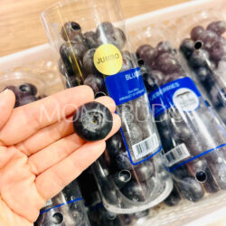 Zimbabwe Two Tree Horticulture Jumbo Blueberry Zimbabwe Two Tree Horticulture Jumbo Blueberry